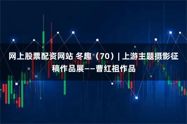 网上股票配资网站 冬趣（70）| 上游主题摄影征稿作品展——曹红祖作品